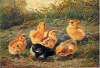 chickens 196